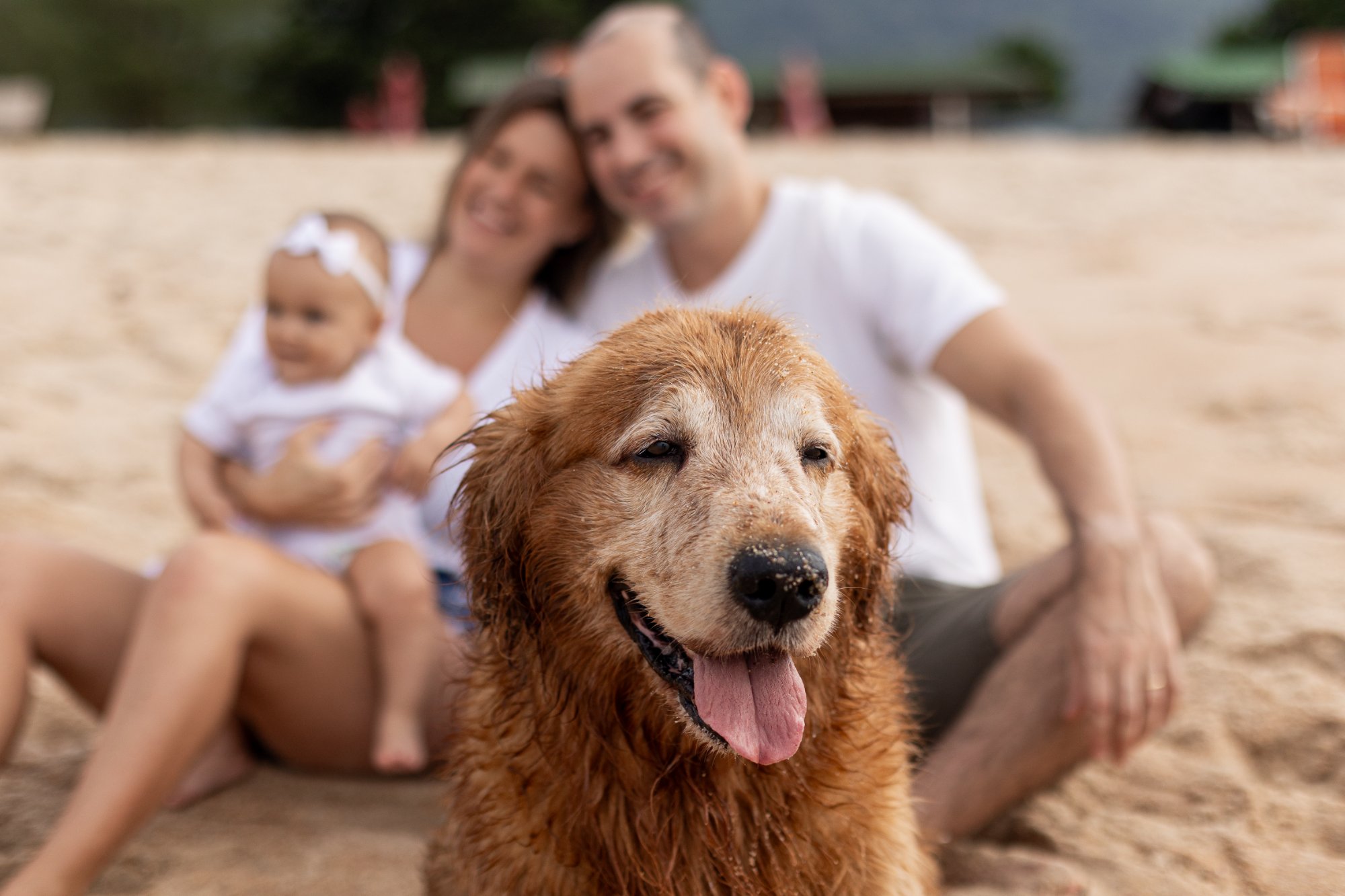 Ensaio Fotográfico em Estúdio ou ao Ar Livre: Qual Escolher para Sua Família